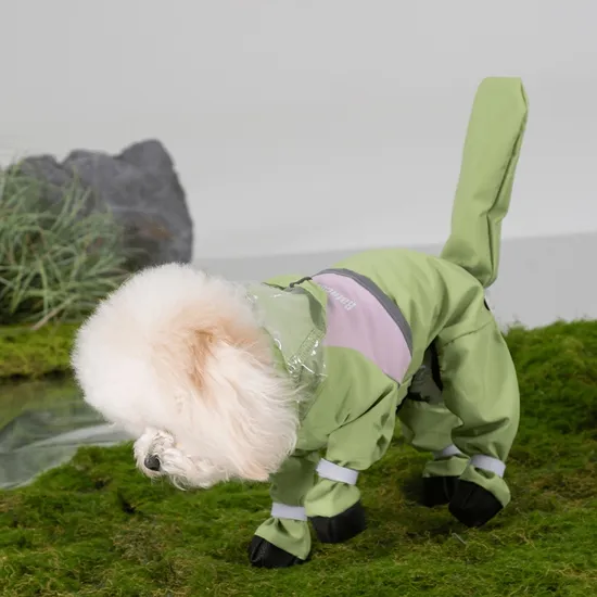 a Raincoat That Covers The Legs, The Tail, and All Four Legs