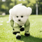 All-in-One Pet Clothes for Spring and Summer with Four Legs Dirt-Proof