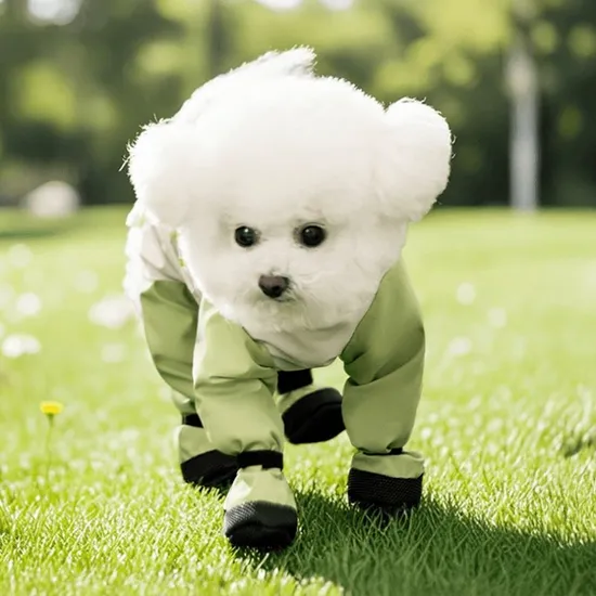 All-in-One Pet Clothes for Spring and Summer with Four Legs Dirt-Proof