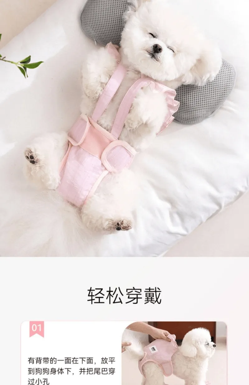 Female Dog-Specific Anti-Mating and Anti-Riding Menstrual Pants