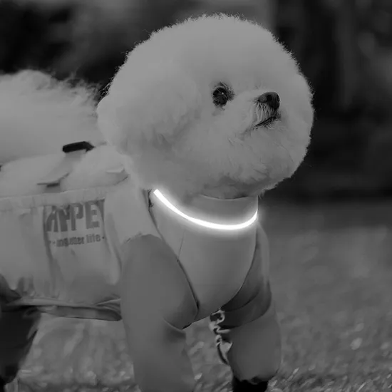 All-in-One Pet Clothes for Spring and Summer with Four Legs Dirt-Proof