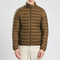 Custom Logo Winter Water Resistant Light Weight Warm Polyester Cotton Fashion Padded Jacket