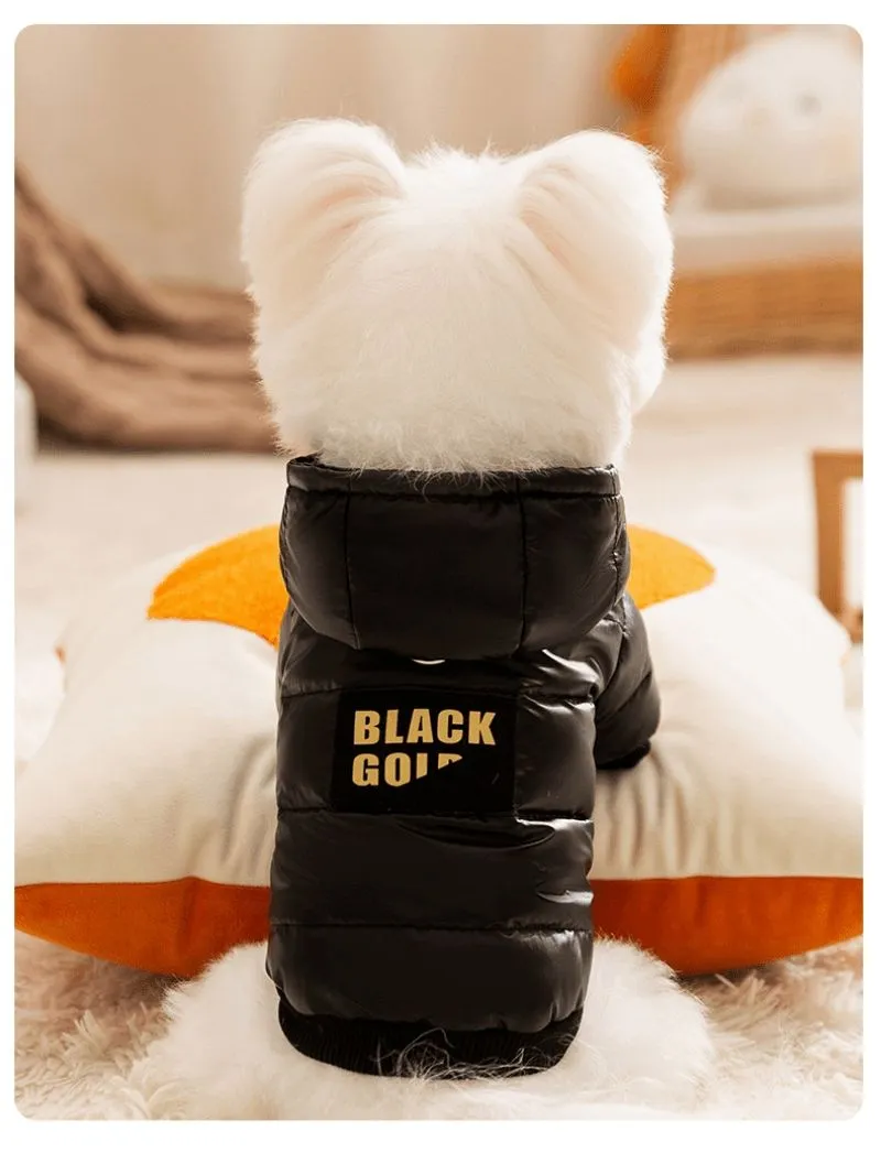 Black Graphene Black Gold Hooded Down Graphene Jacket for Pet Dogs