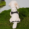 a Raincoat That Covers The Legs, The Tail, and All Four Legs