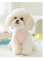 Thin Mesh Sunscreen Clothing for Dogs in Spring and Summer, Including Vests