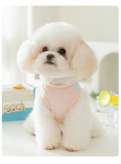 Thin Mesh Sunscreen Clothing for Dogs in Spring and Summer, Including Vests