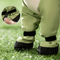 All-in-One Pet Clothes for Spring and Summer with Four Legs Dirt-Proof