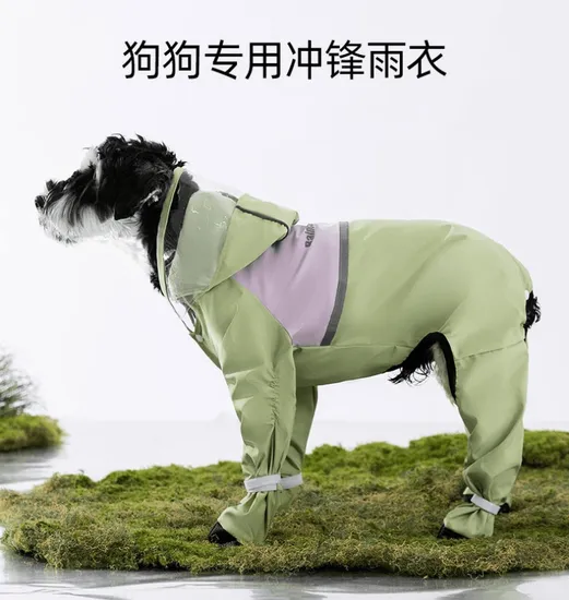 a Raincoat That Covers The Legs, The Tail, and All Four Legs