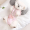 Female Dog-Specific Anti-Mating and Anti-Riding Menstrual Pants