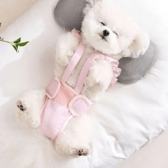 Female Dog-Specific Anti-Mating and Anti-Riding Menstrual Pants