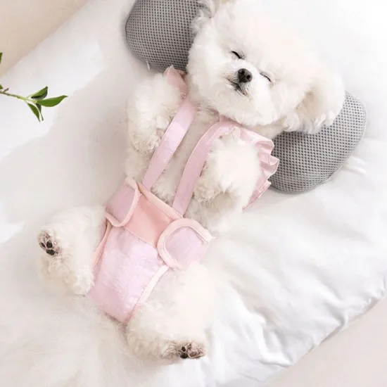 Female Dog-Specific Anti-Mating and Anti-Riding Menstrual Pants