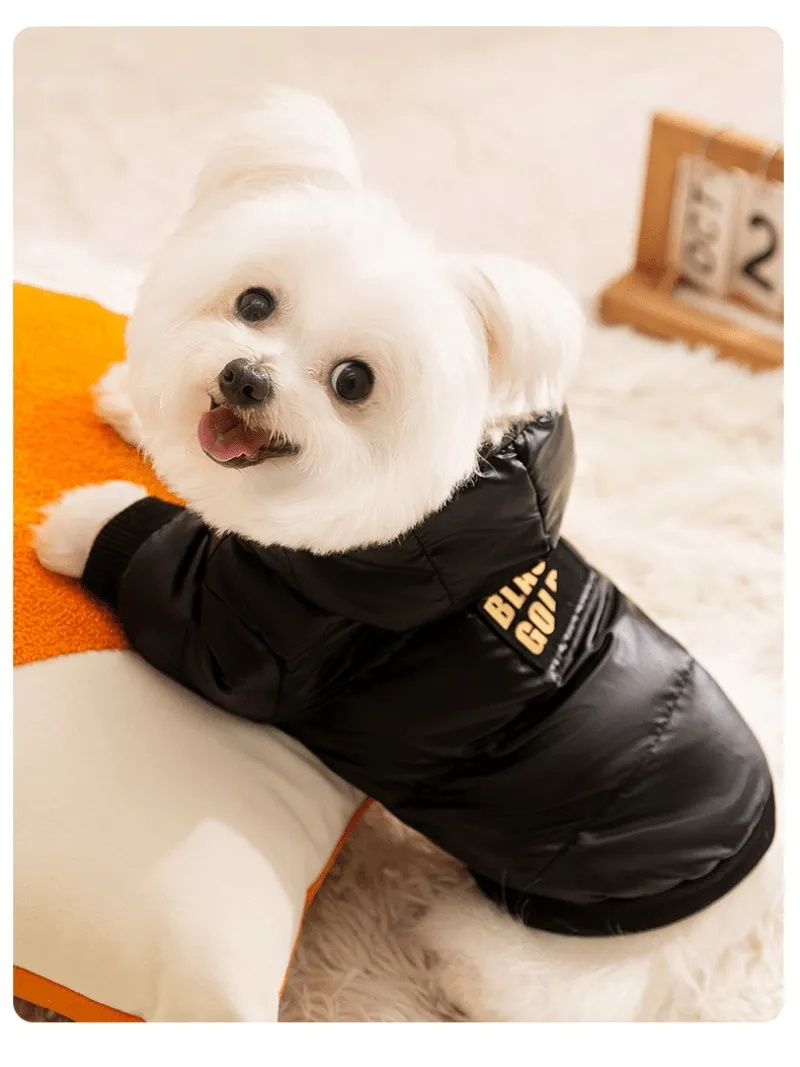 Black Graphene Black Gold Hooded Down Graphene Jacket for Pet Dogs