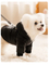 Black Graphene Black Gold Hooded Down Graphene Jacket for Pet Dogs