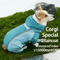 All-Inclusive Contrast-Colored Corgi Raincoat for Small and Medium-Sized Dogs