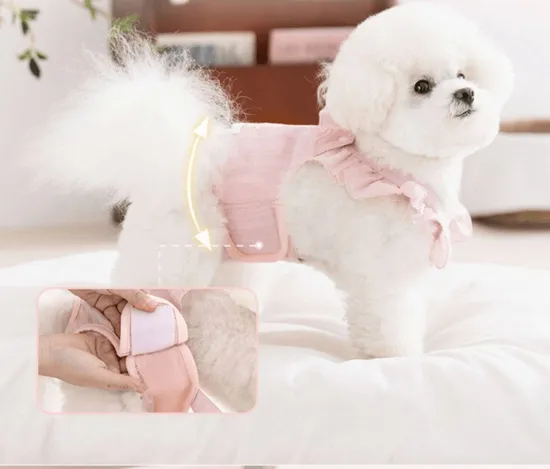 Female Dog-Specific Anti-Mating and Anti-Riding Menstrual Pants