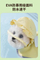 Outdoor Candy-Colored Two-Leg Raincoat for Small and Medium-Sized Dogs
