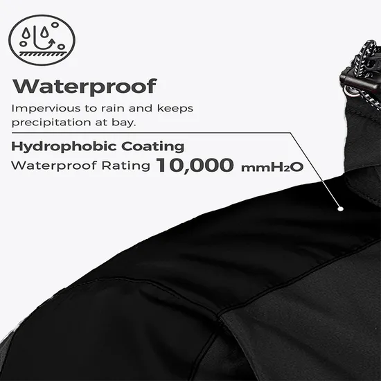 Waterproof Snow Winter Coat Ski Jacket for Men
