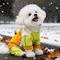 Hot Sold Fashion Waterproof Raincoat Dog Accessories Apparel Pet Clothes