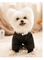 Black Graphene Black Gold Hooded Down Graphene Jacket for Pet Dogs