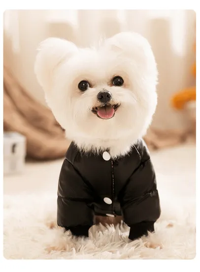 Black Graphene Black Gold Hooded Down Graphene Jacket for Pet Dogs