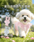 Female Dog-Specific Anti-Mating and Anti-Riding Menstrual Pants