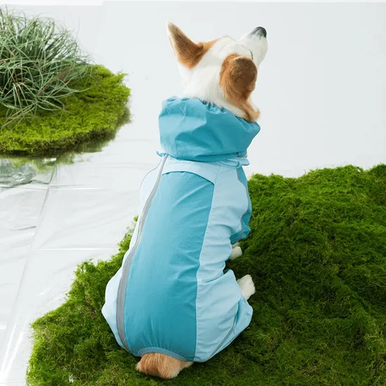 All-Inclusive Contrast-Colored Corgi Raincoat for Small and Medium-Sized Dogs