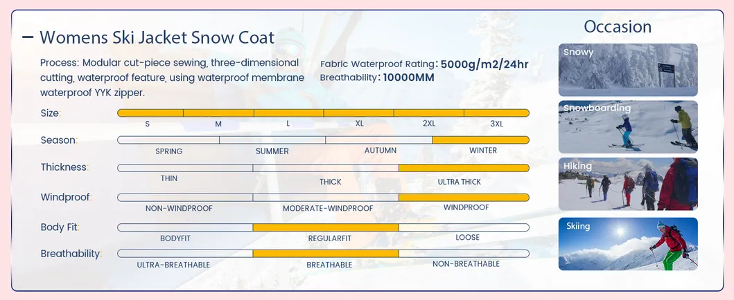 Women Windproof Waterproof Outdoor Sports Ski Snowboarding Jackets